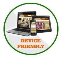 Device Friendly Website Developer Kolkata India Graphizona