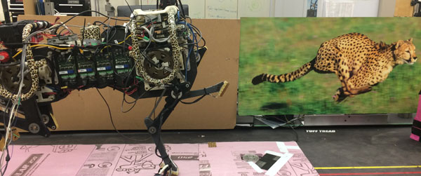 cheetah robots vs real robots graphizona graphics solutions